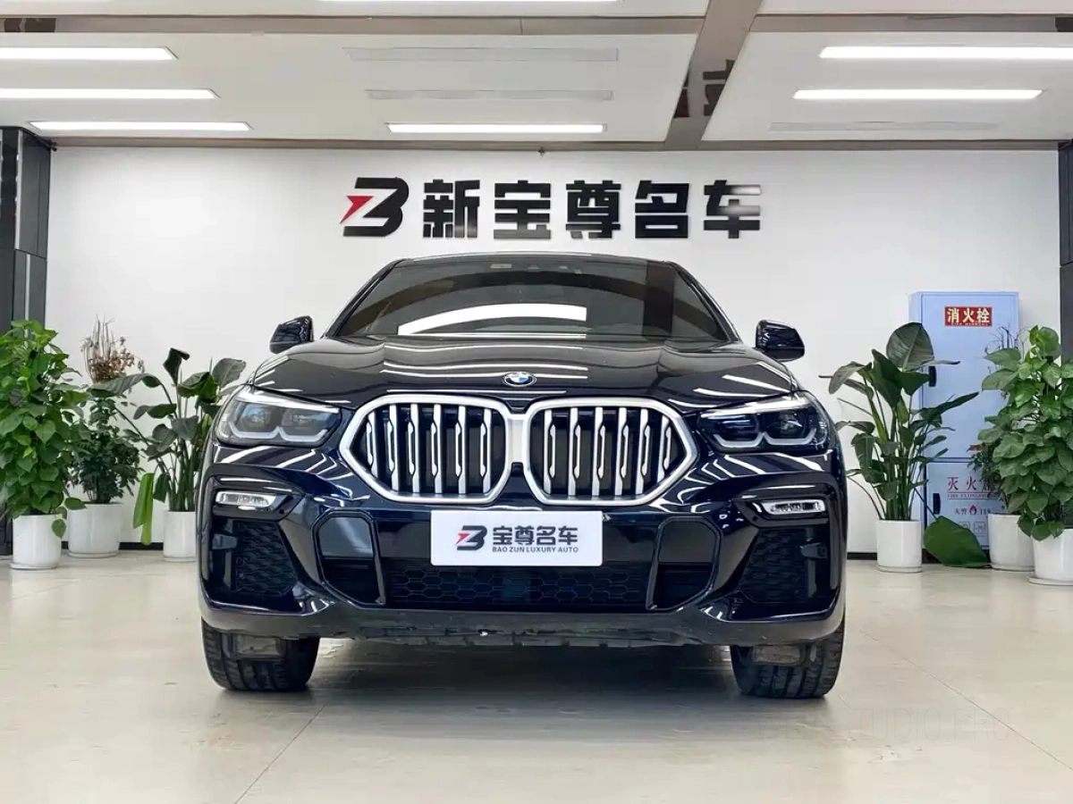 BMW X6