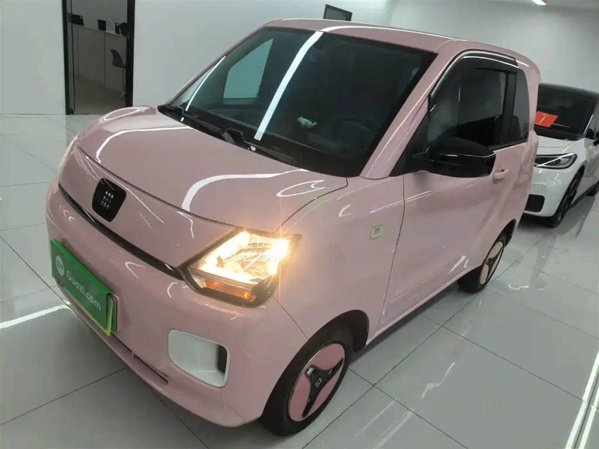 DONGFENG SCENERY MINIEV  2024