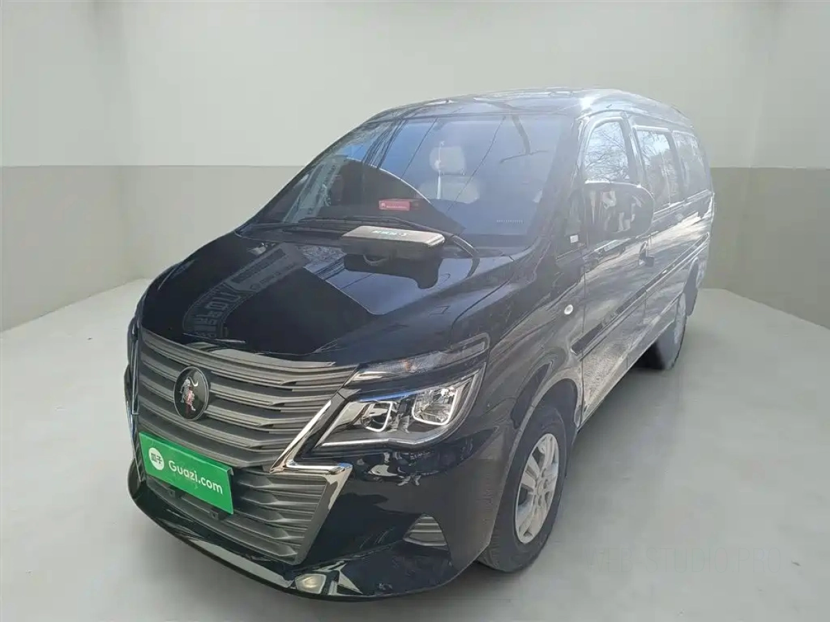 DONGFENG LINGZHI  2024