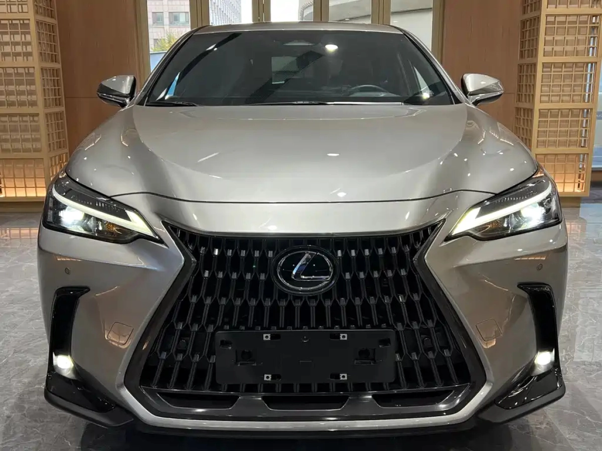 LEXUS NX NEW ENERGY