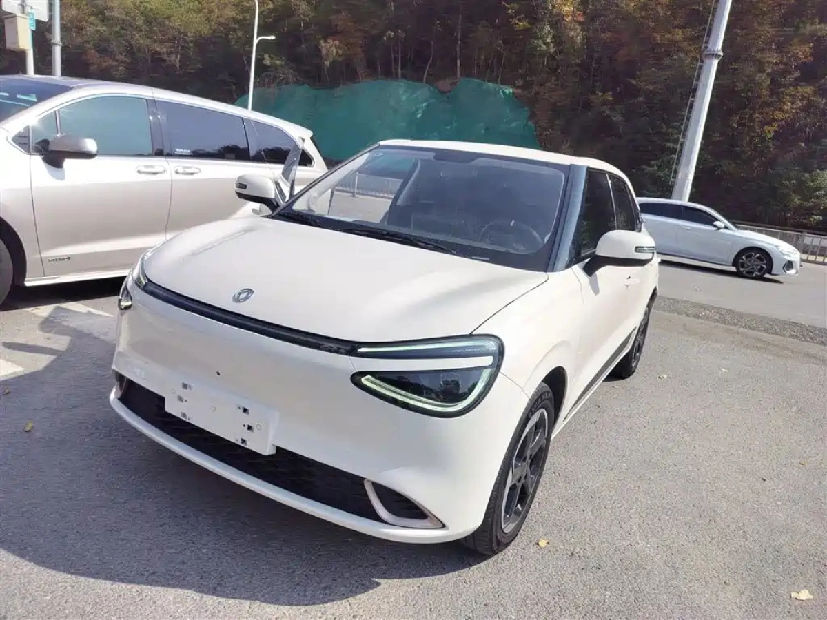 DONGFENG NANO 01  2024