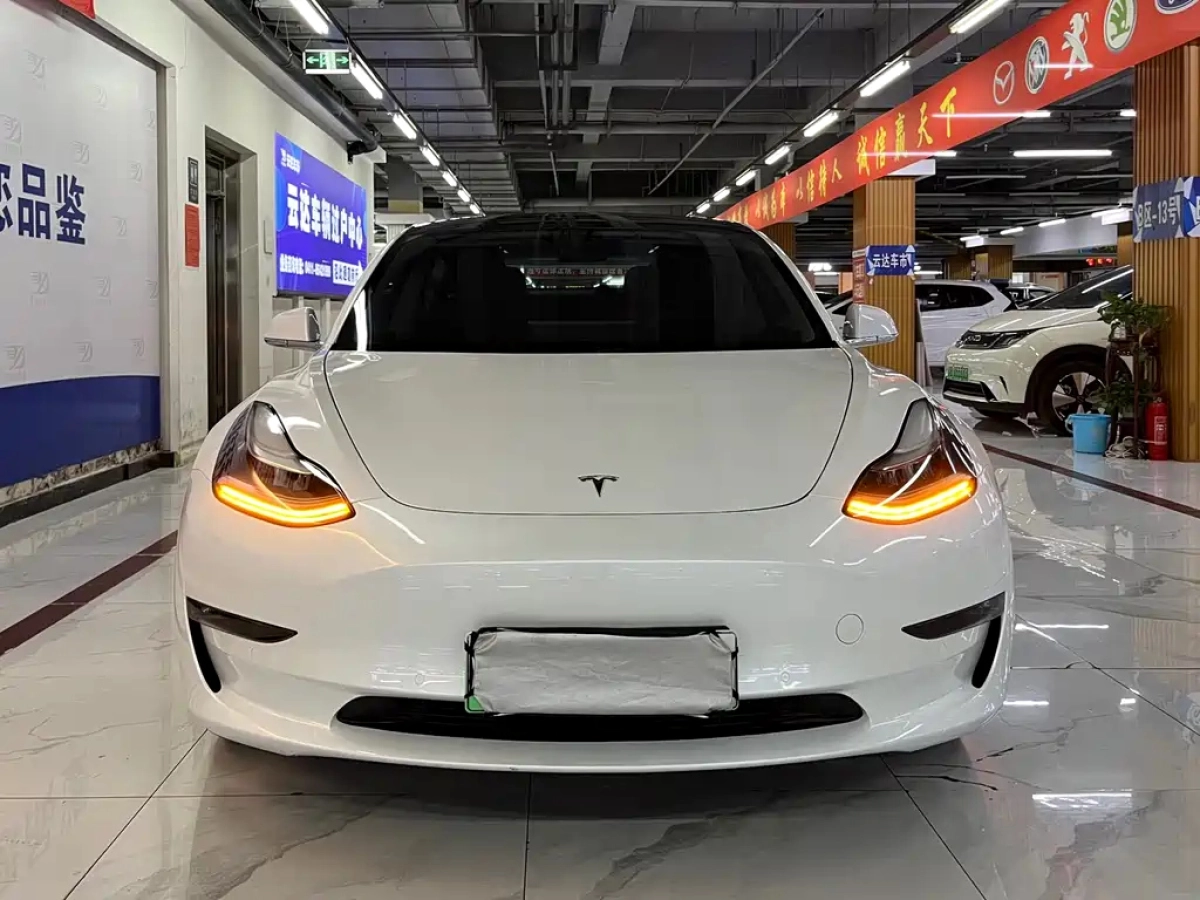 TESLA MODEL 3 IMPORT