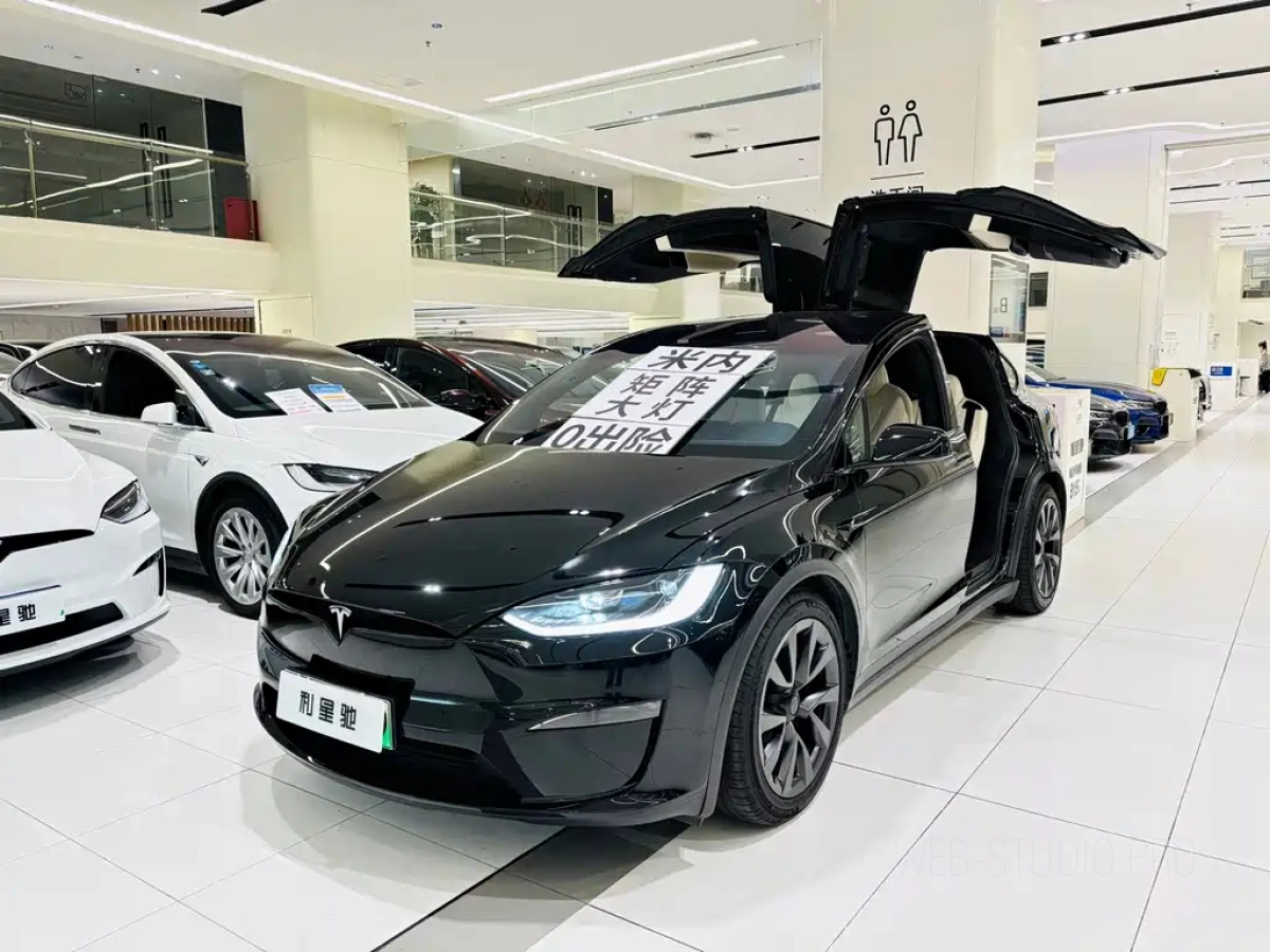 TESLA MODEL X