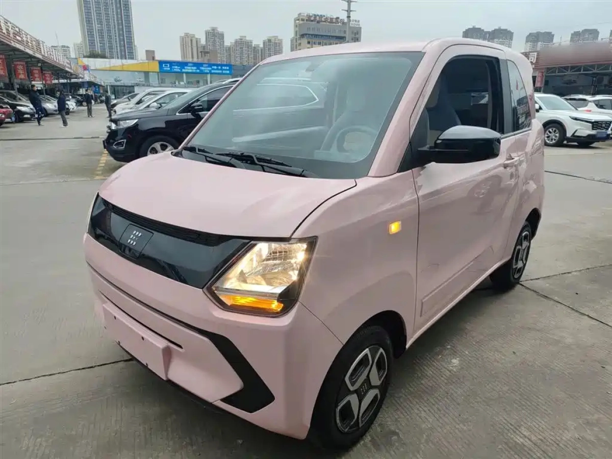 DONGFENG SCENERY MINIEV  2023