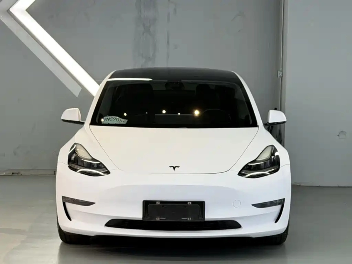 TESLA MODEL 3 IMPORT