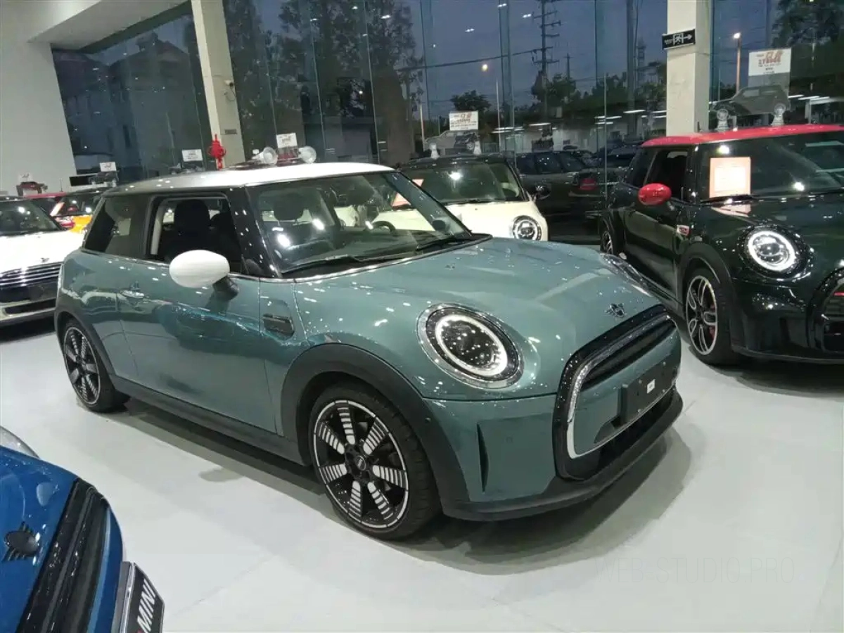 MINI OTHER