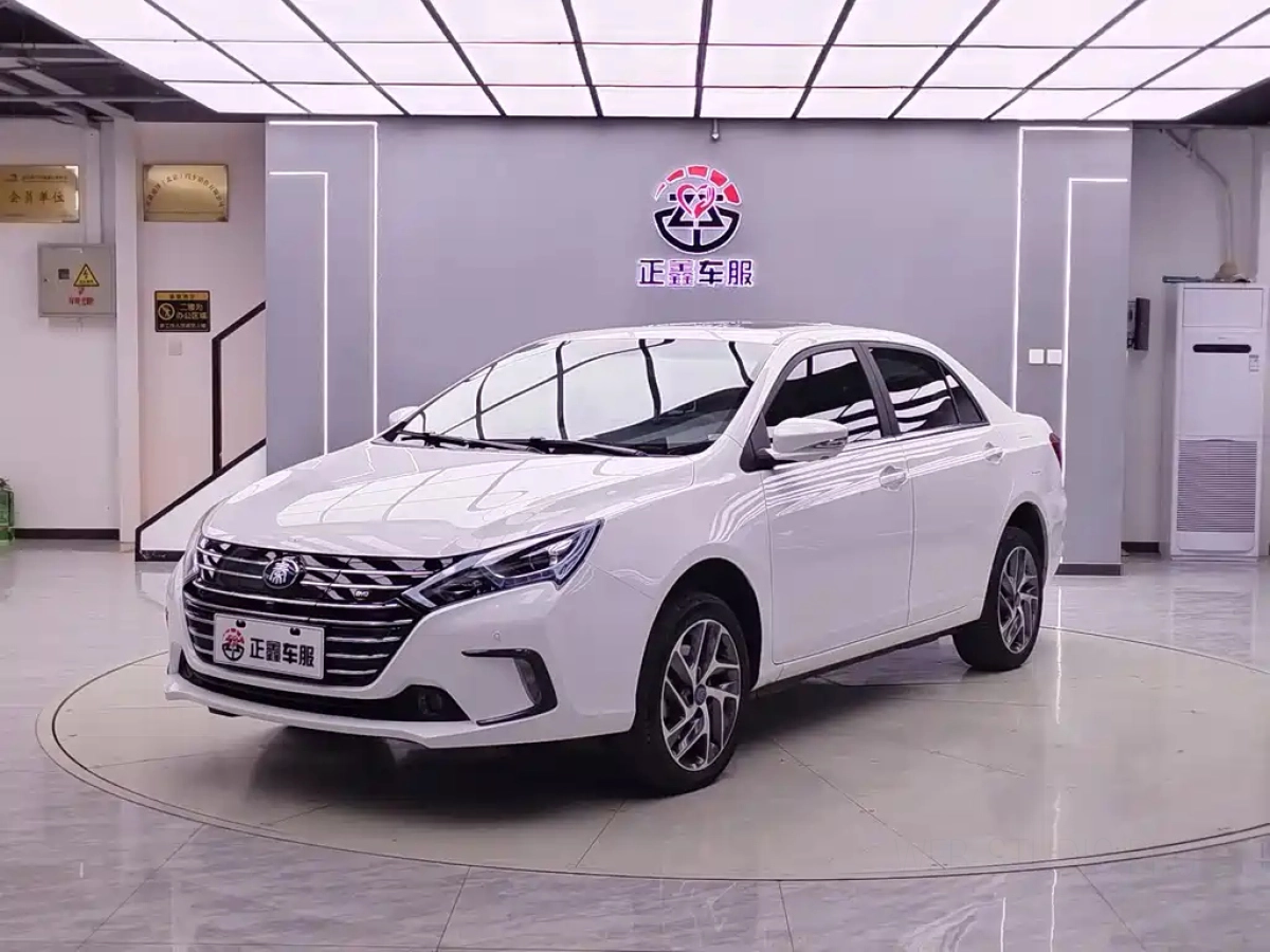 BYD QIN NEW ENERGY  2019