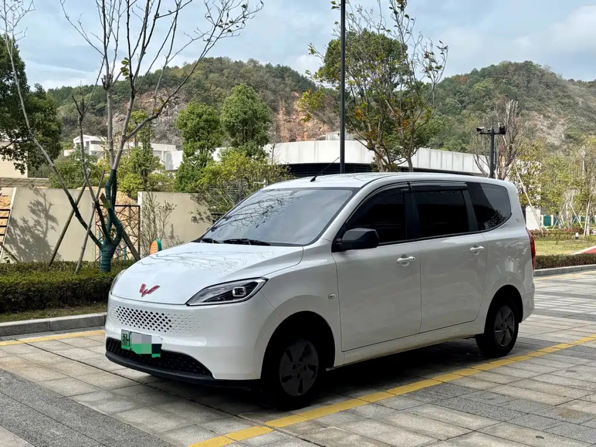 SGMW WULING HONGGUANG NEW ENERGY