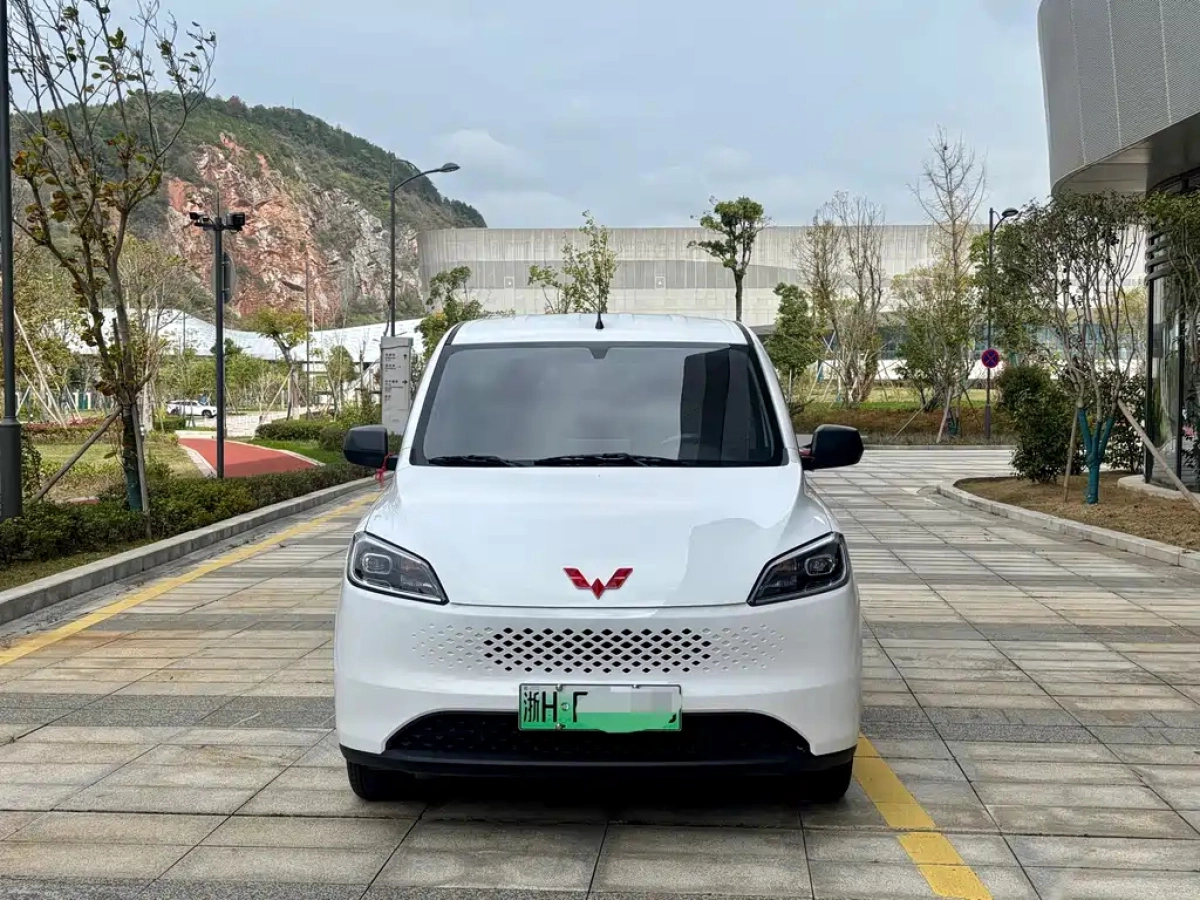 SGMW WULING HONGGUANG NEW ENERGY