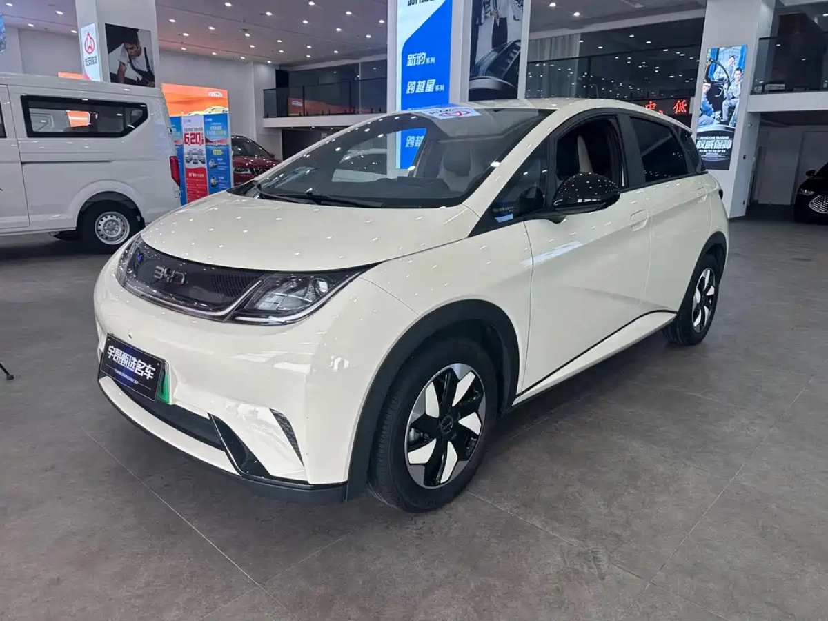 BYD DOLPHIN