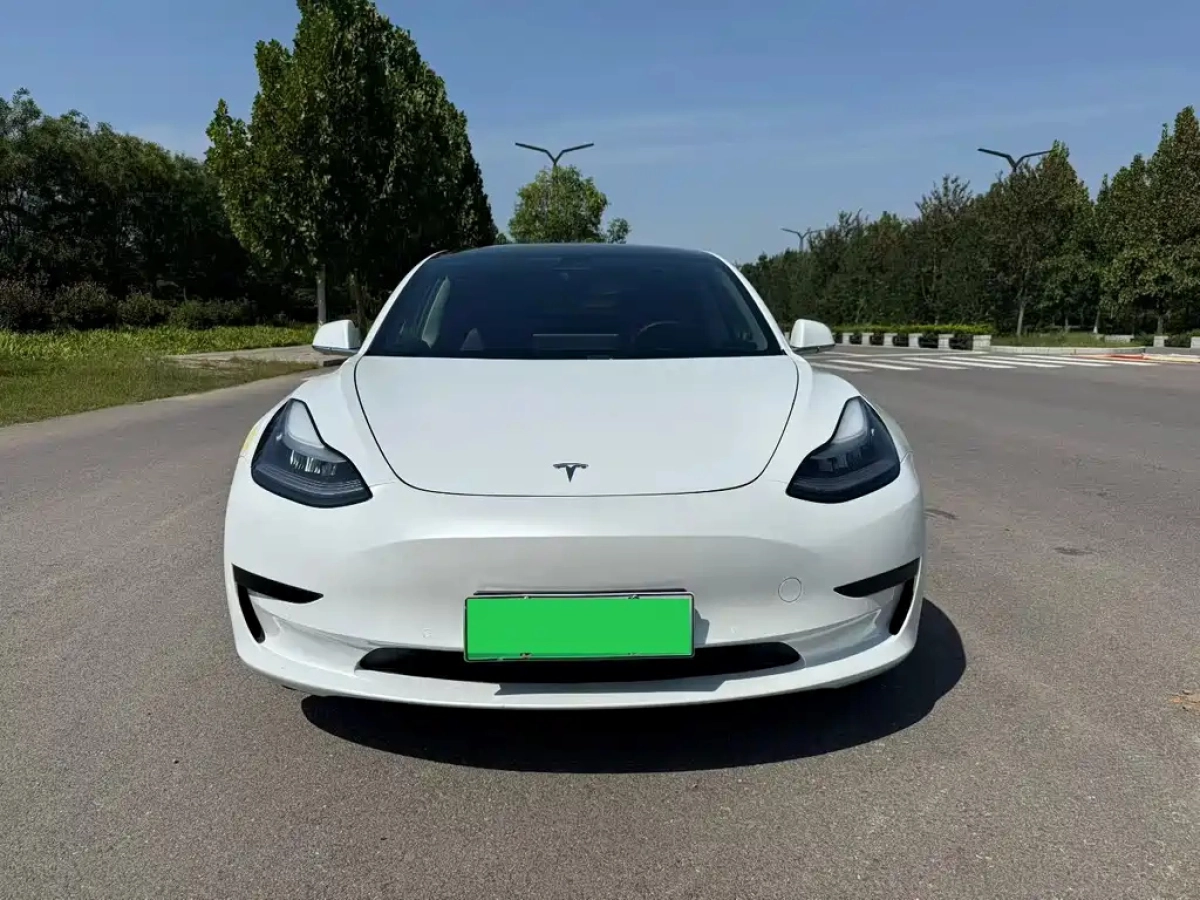 TESLA MODEL 3 IMPORT