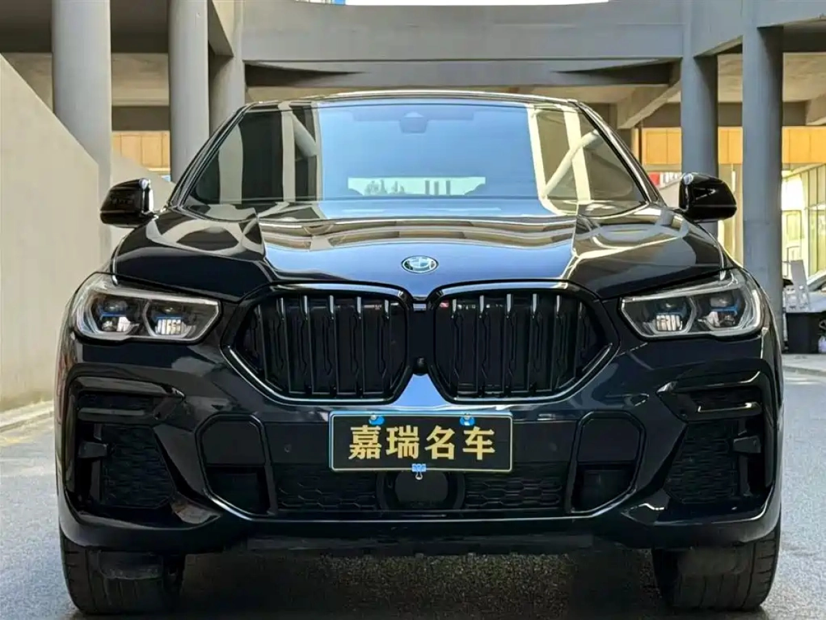 BMW X6
