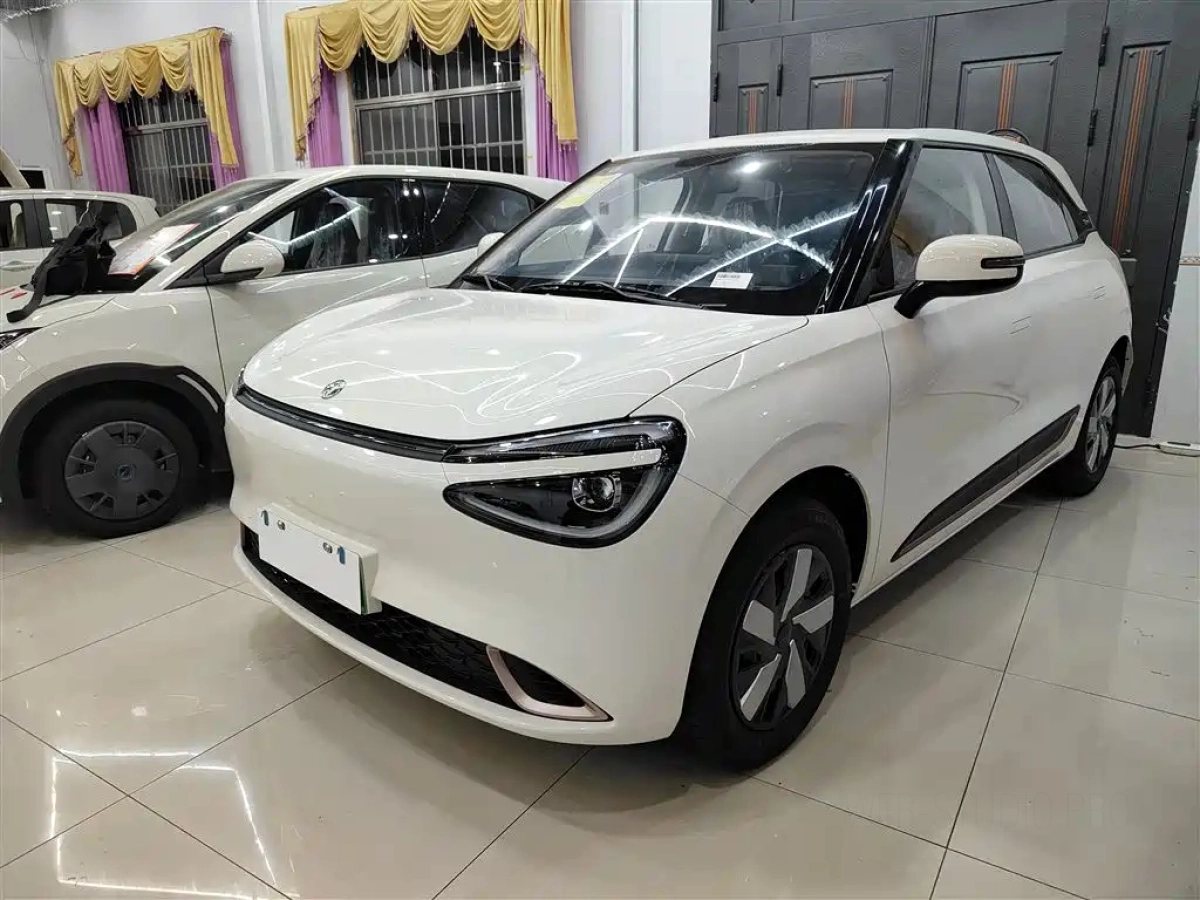 DONGFENG NANO 01  2025
