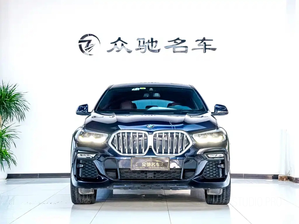 BMW X6