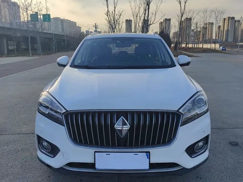 BORGWARD BX7
