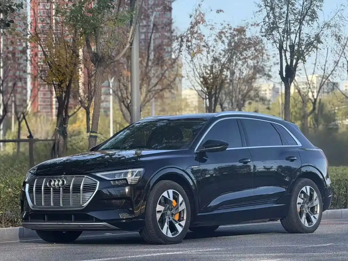AUDI E-TRON IMPORT  2022