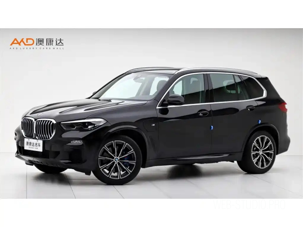 BMW X5 NEW ENERGY IMPORT  2021
