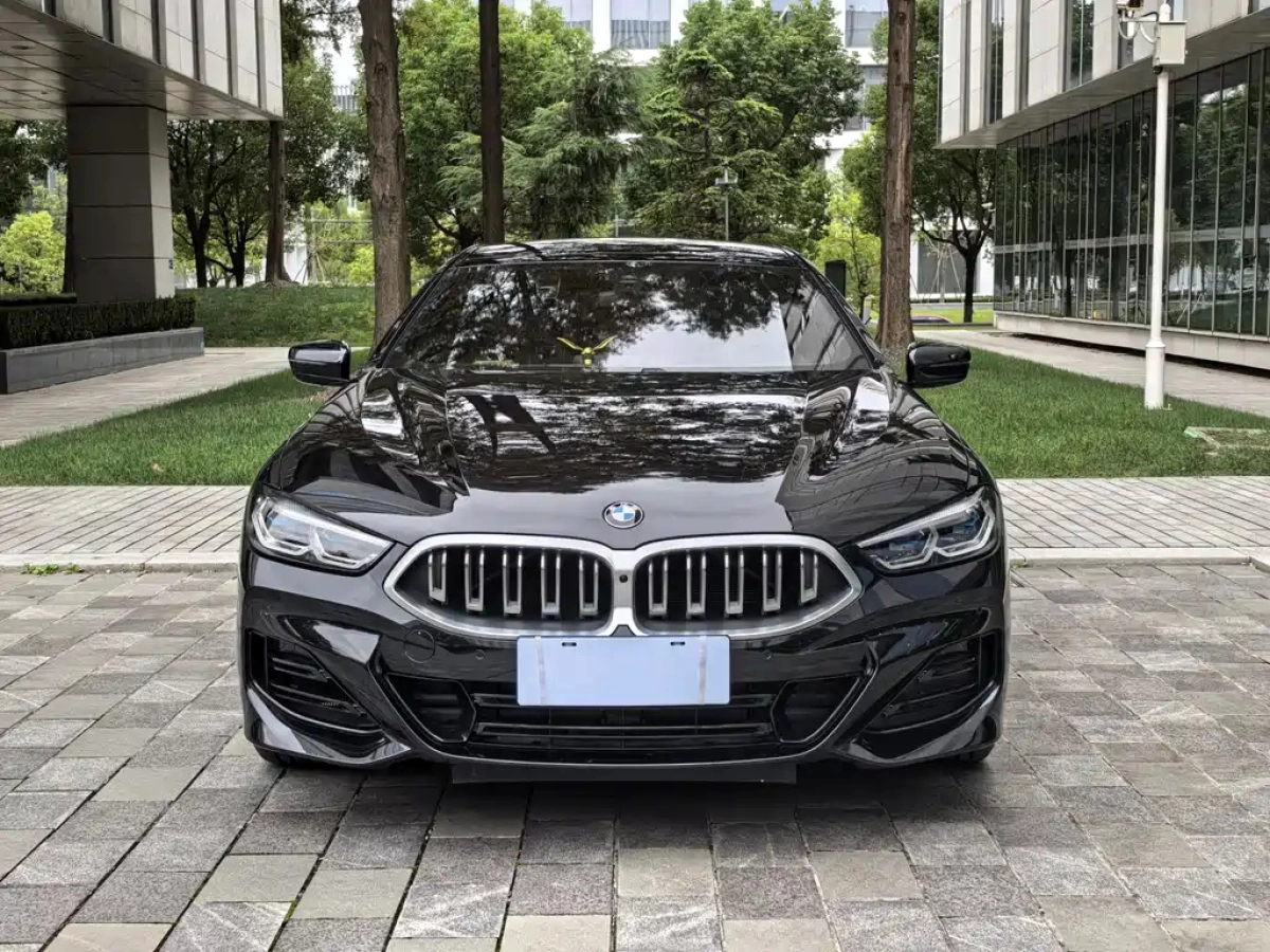 BMW 8-SERIES