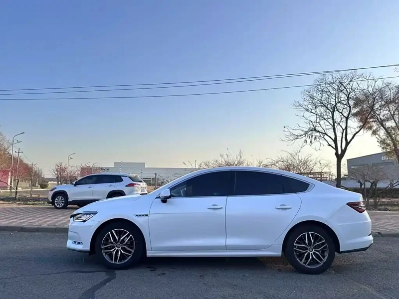 BYD QIN PRO NEW ENERGY