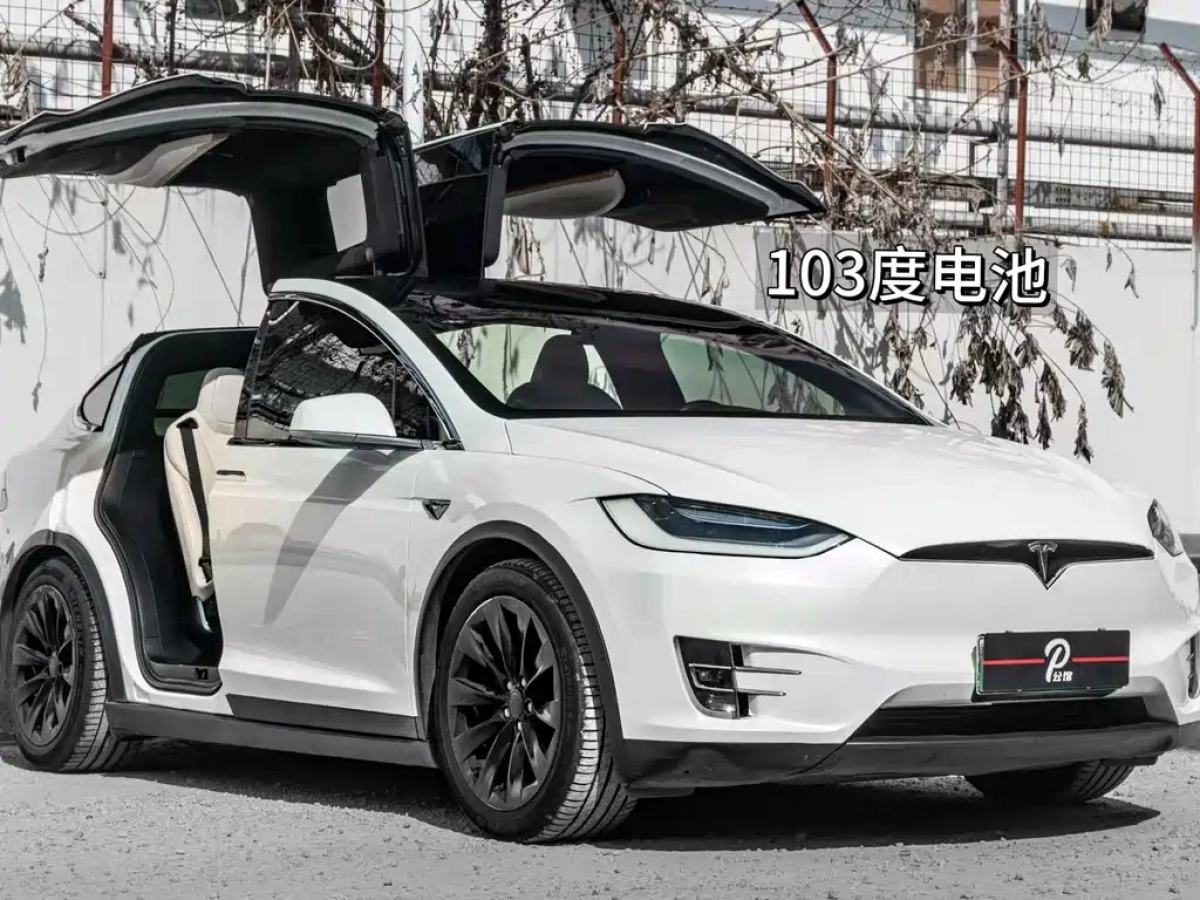 TESLA MODEL X
