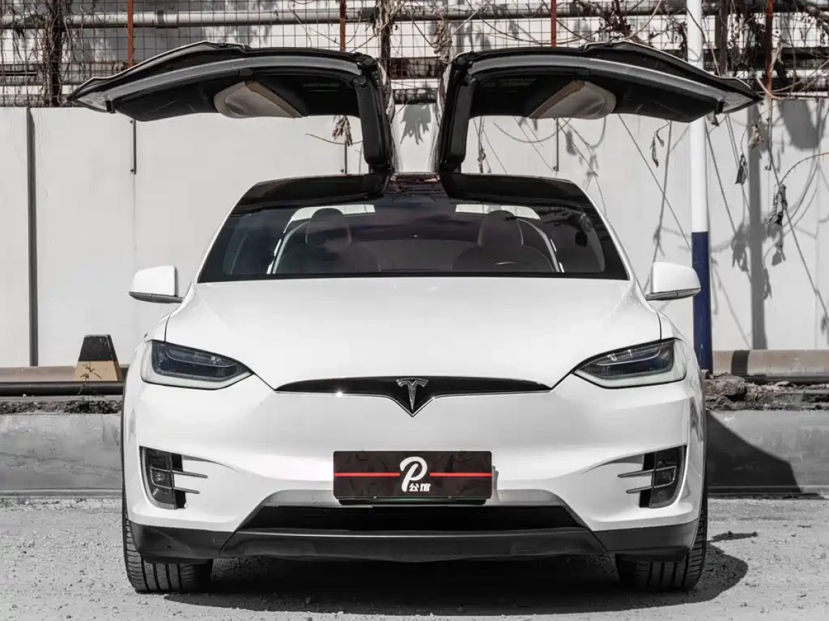 TESLA MODEL X
