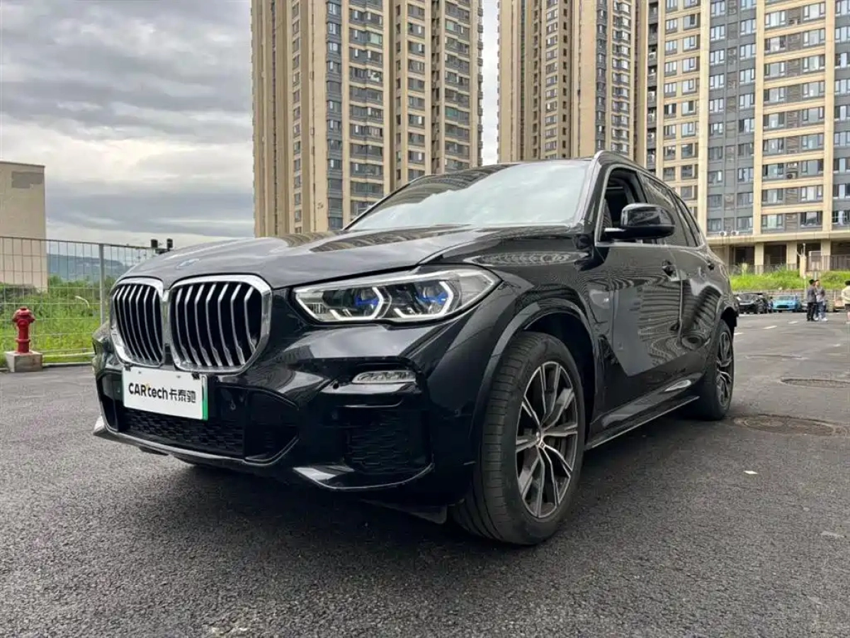 BMW X5 NEW ENERGY IMPORT