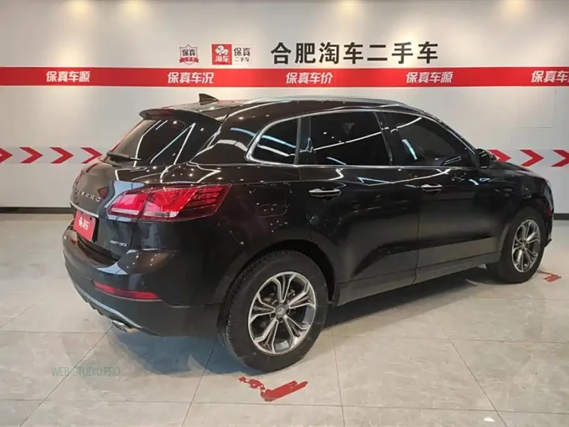 BORGWARD BX7