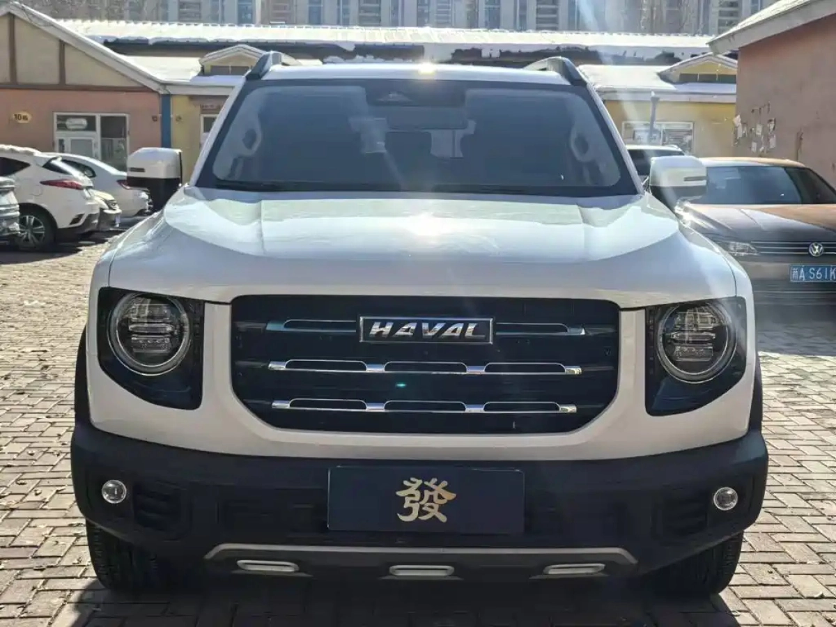 HAVAL BIG DOG