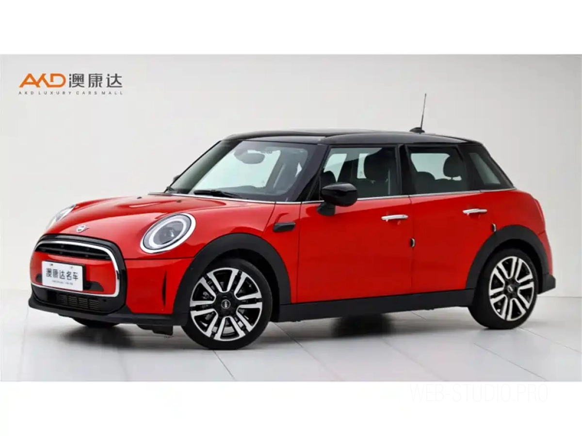 MINI OTHER