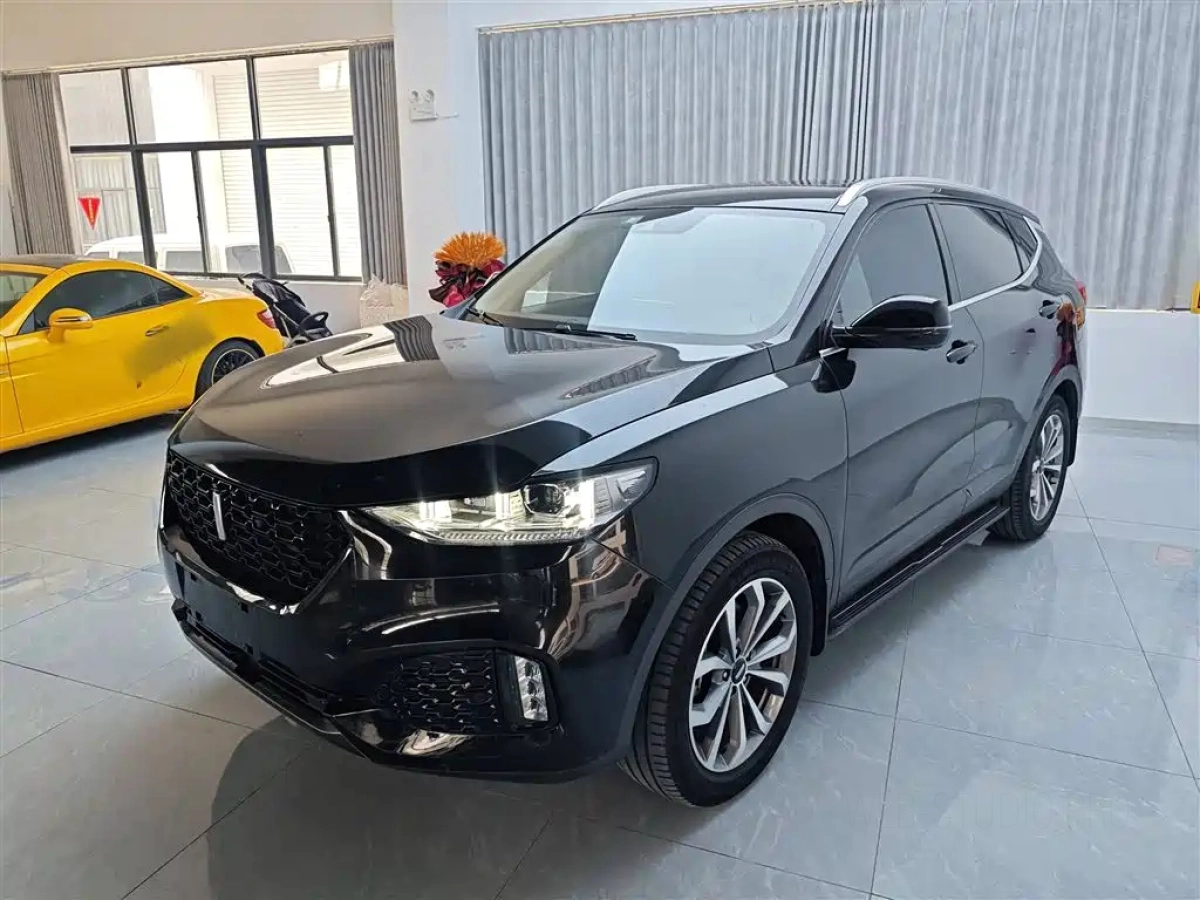 WEY VV6  2019