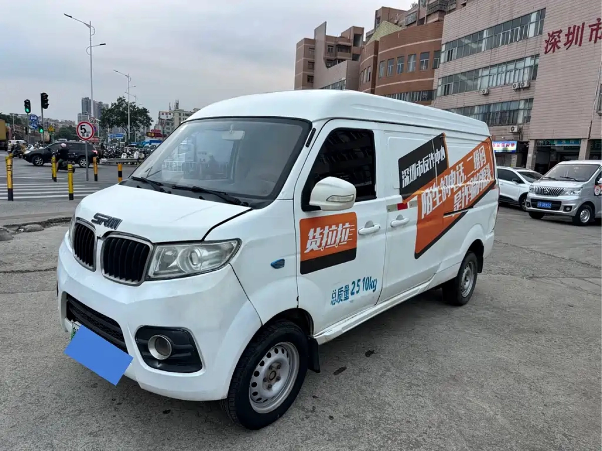 SHINERAY NEW ENERGY 小 SEALION E  2020