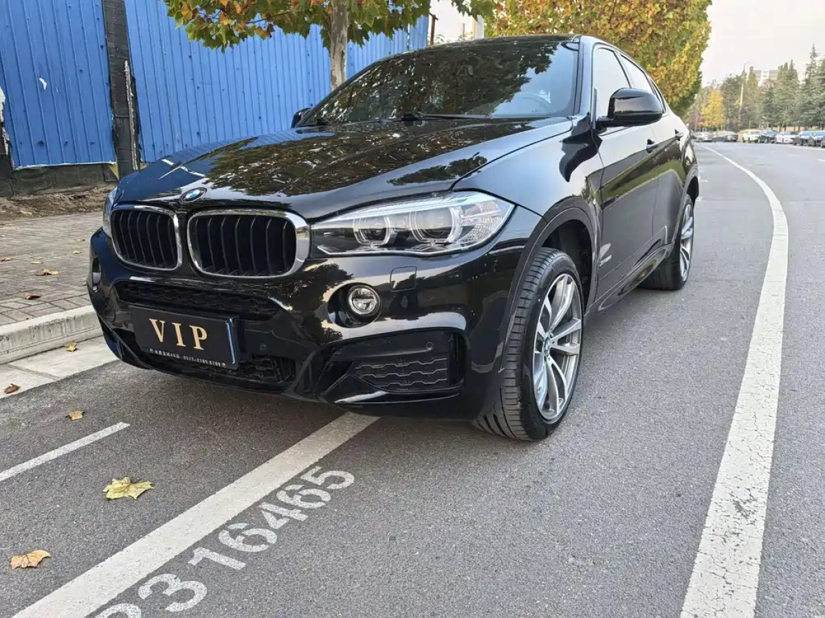 BMW X6