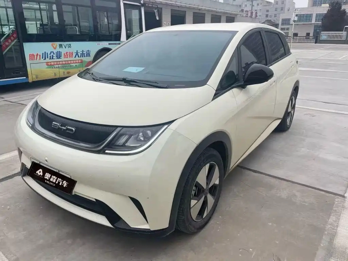 BYD DOLPHIN