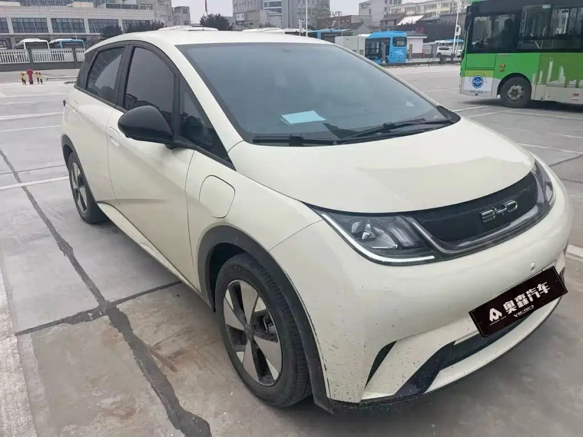 BYD DOLPHIN
