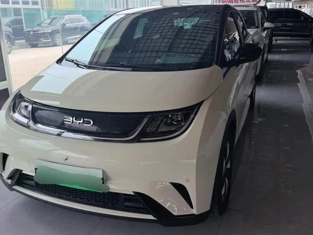 BYD DOLPHIN  2024