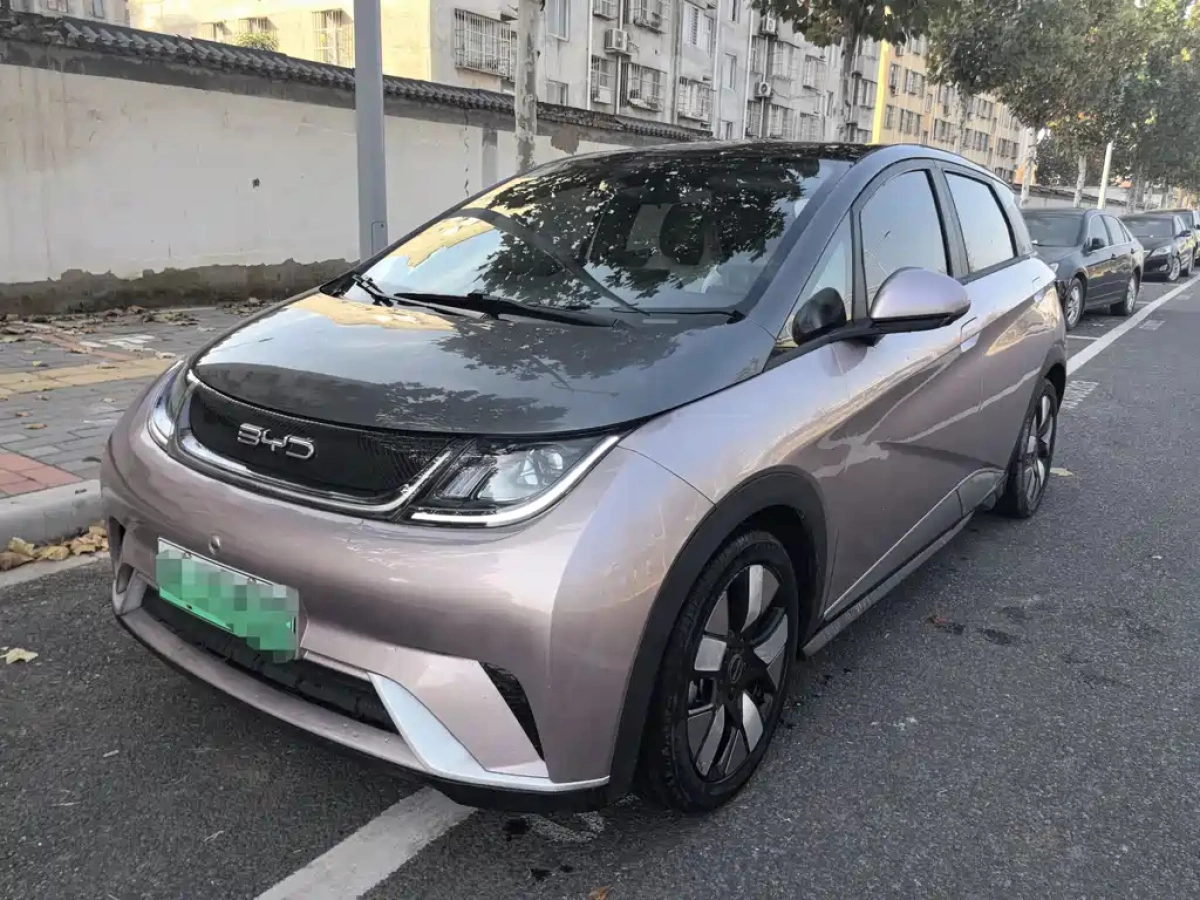 BYD DOLPHIN