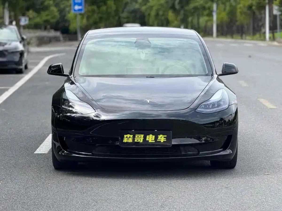 TESLA MODEL 3
