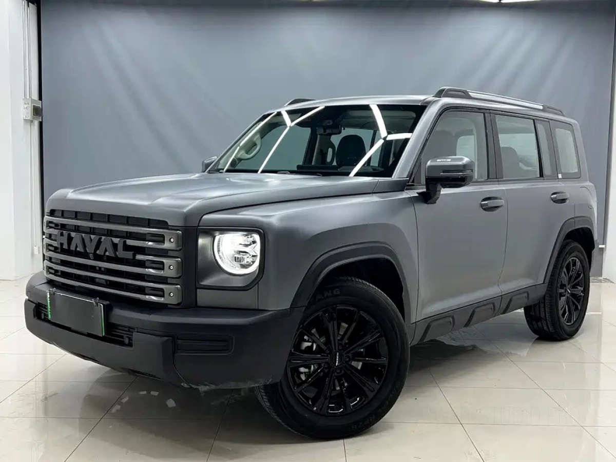 HAVAL RAPTOR NEW ENERGY  2025