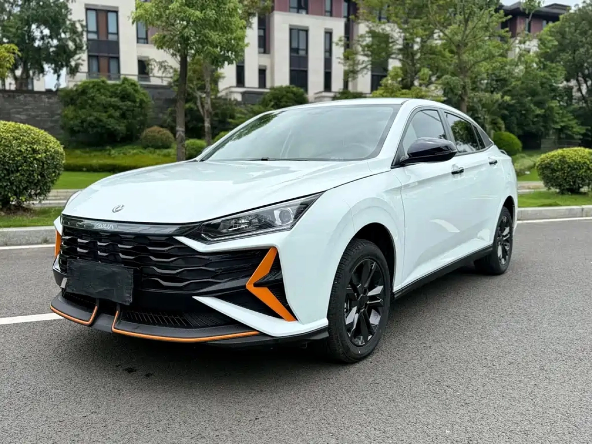 DONGFENG AEOLUS  2024