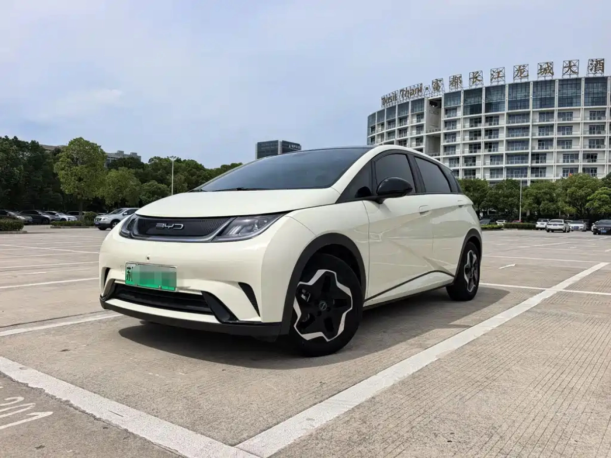 BYD DOLPHIN