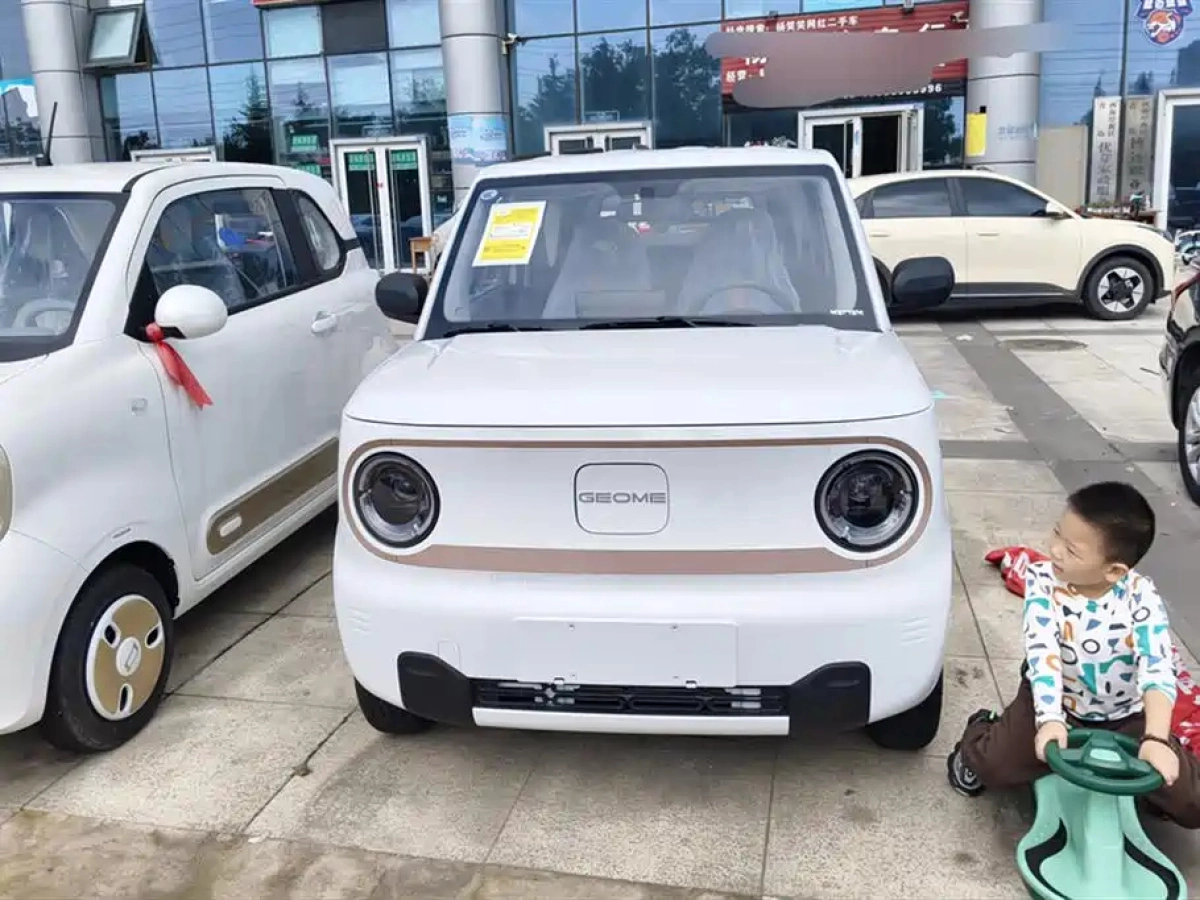 GEELY AUTO PANDA
