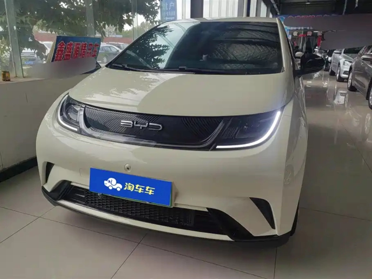 BYD DOLPHIN