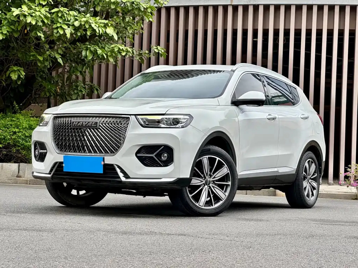 HAVAL H6  2021