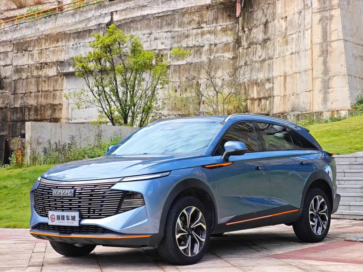 HAVAL SHENSHOU  2022