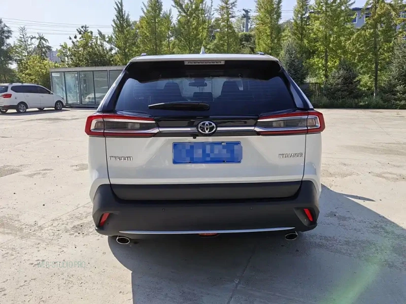 TOYOTA WILDLANDER
