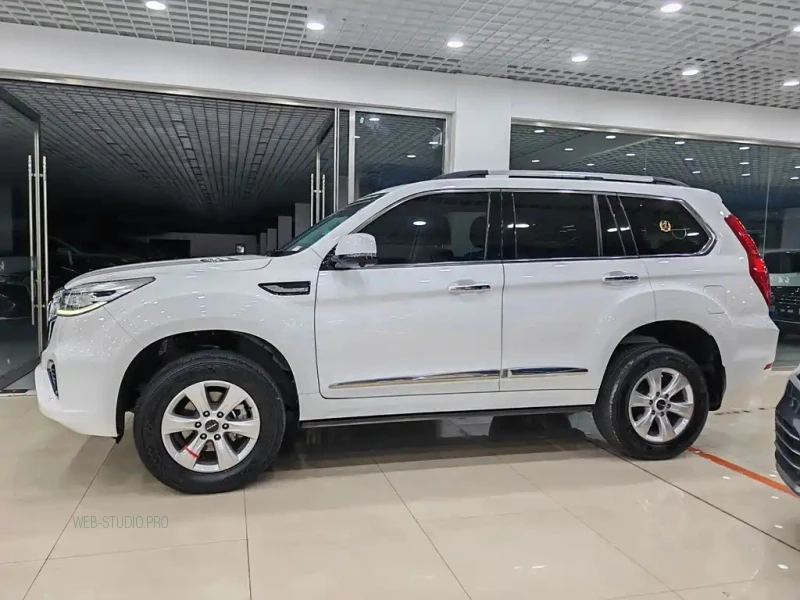 HAVAL H9