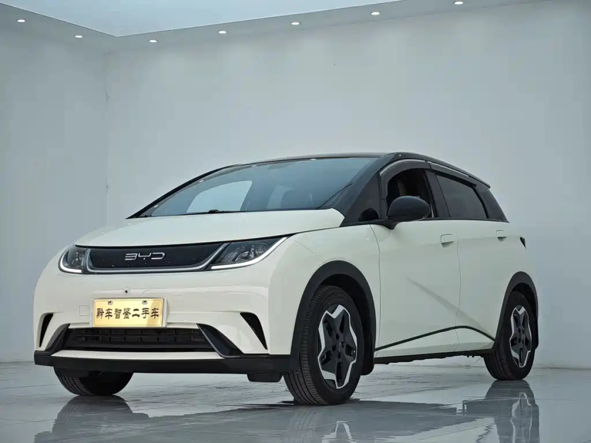 BYD DOLPHIN  2023