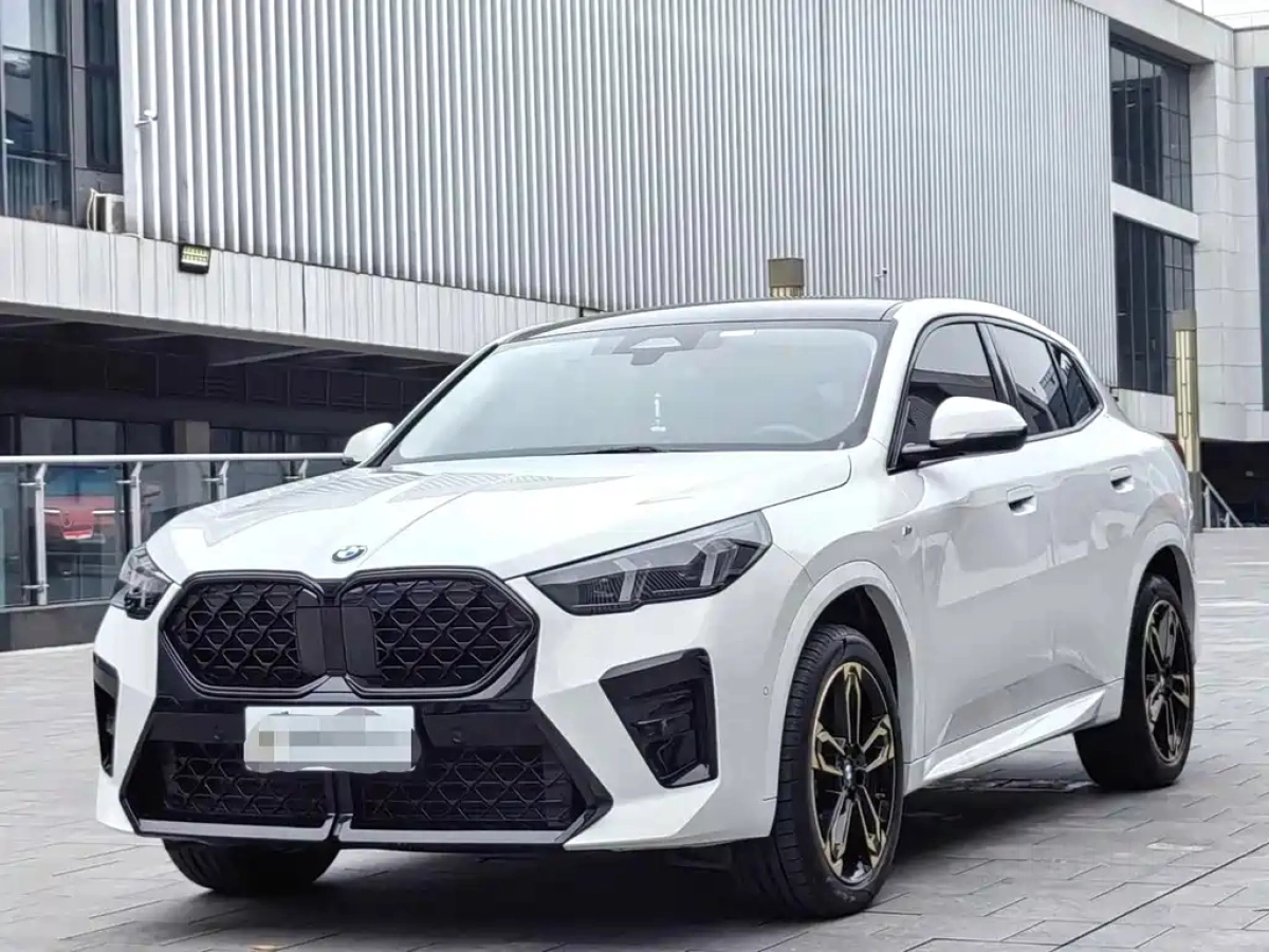 BMW X2 IMPORT  2024