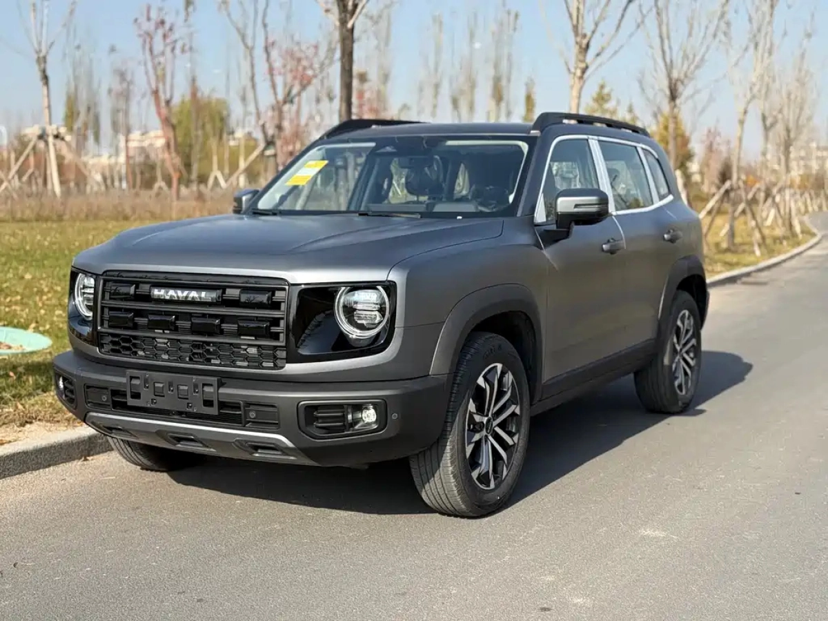 HAVAL BIG DOG