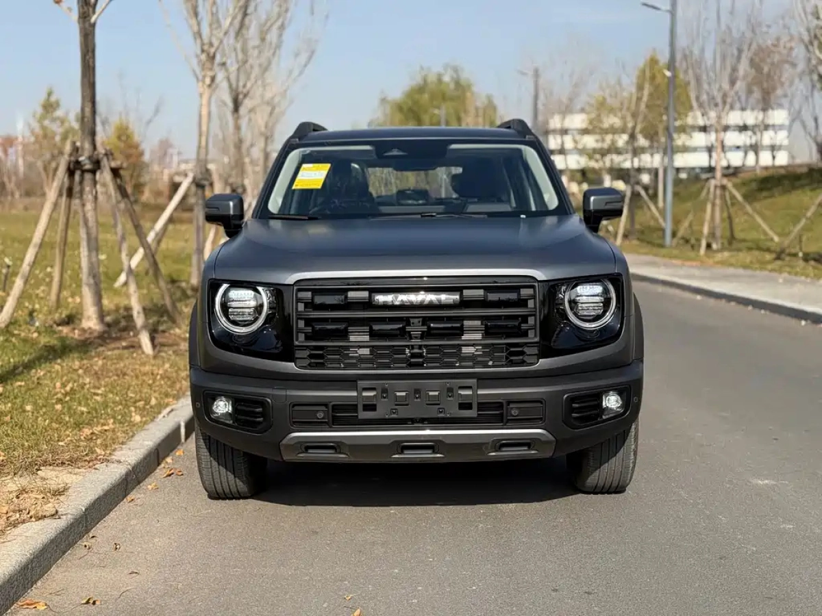 HAVAL BIG DOG